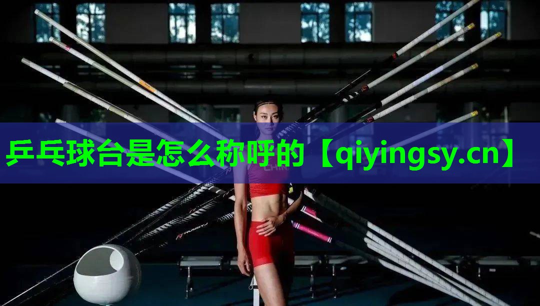 乒乓球台是怎么称呼的