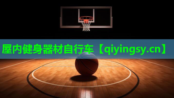 <strong>屋内健身器材自行车</strong>