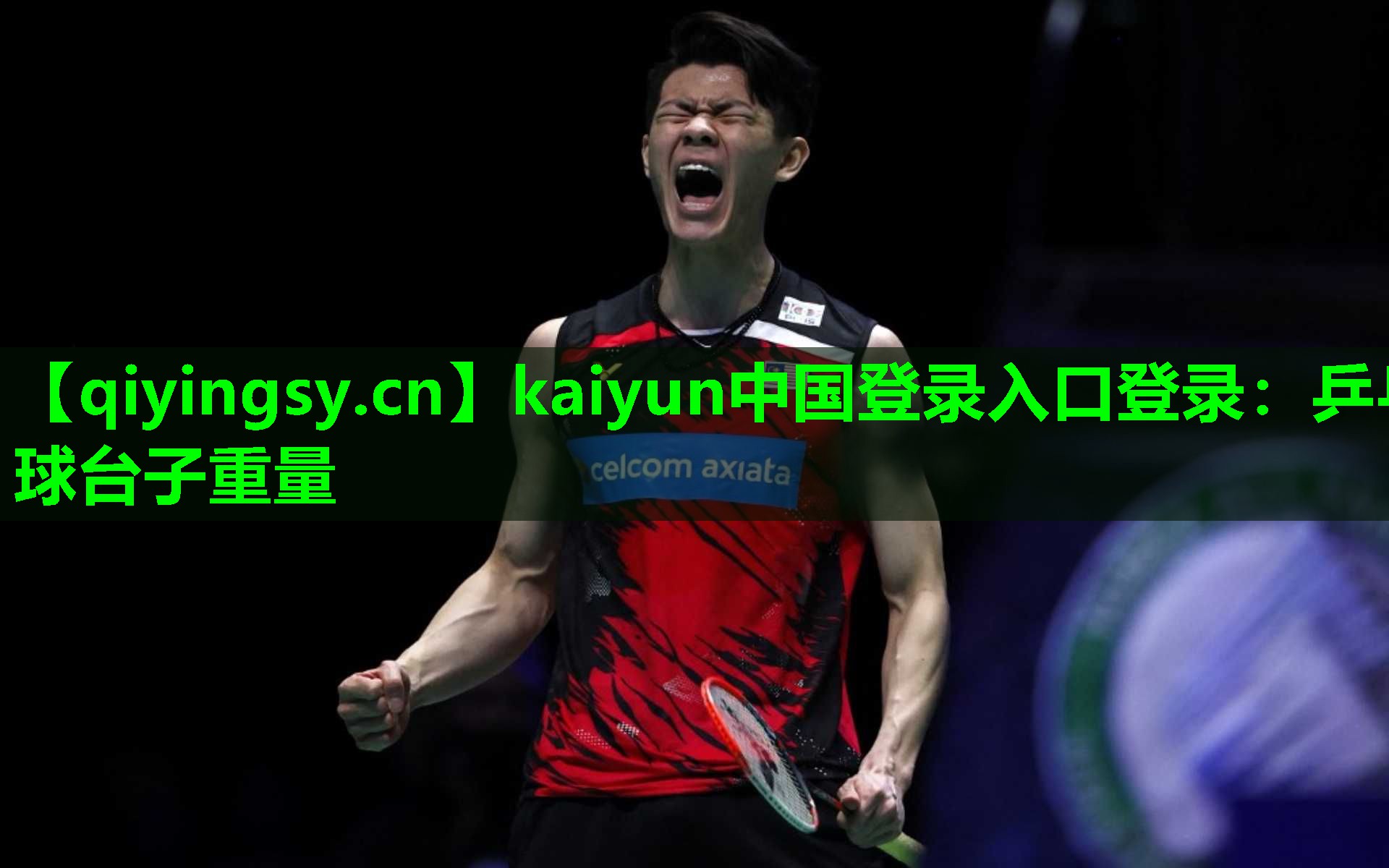 kaiyun中国登录入口登录：乒乓球台子重量