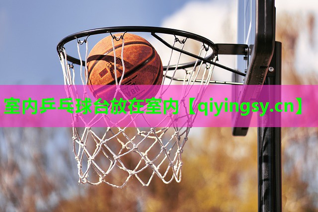 室内乒乓球台放在室内