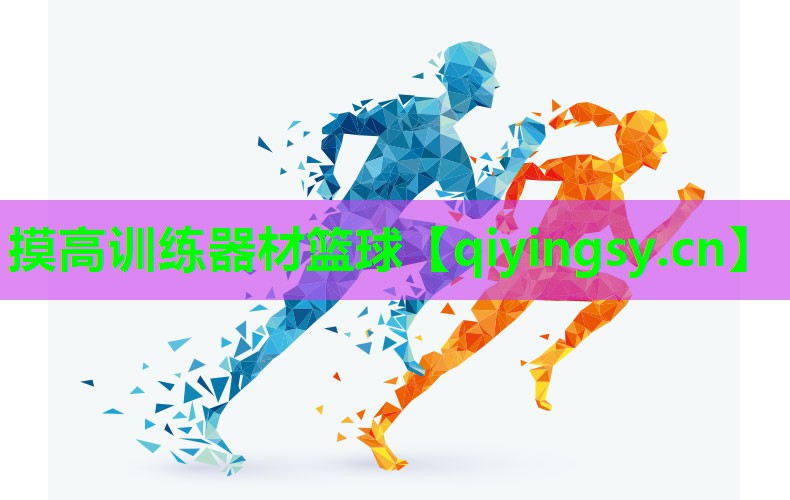 <strong>摸高训练器材篮球</strong>