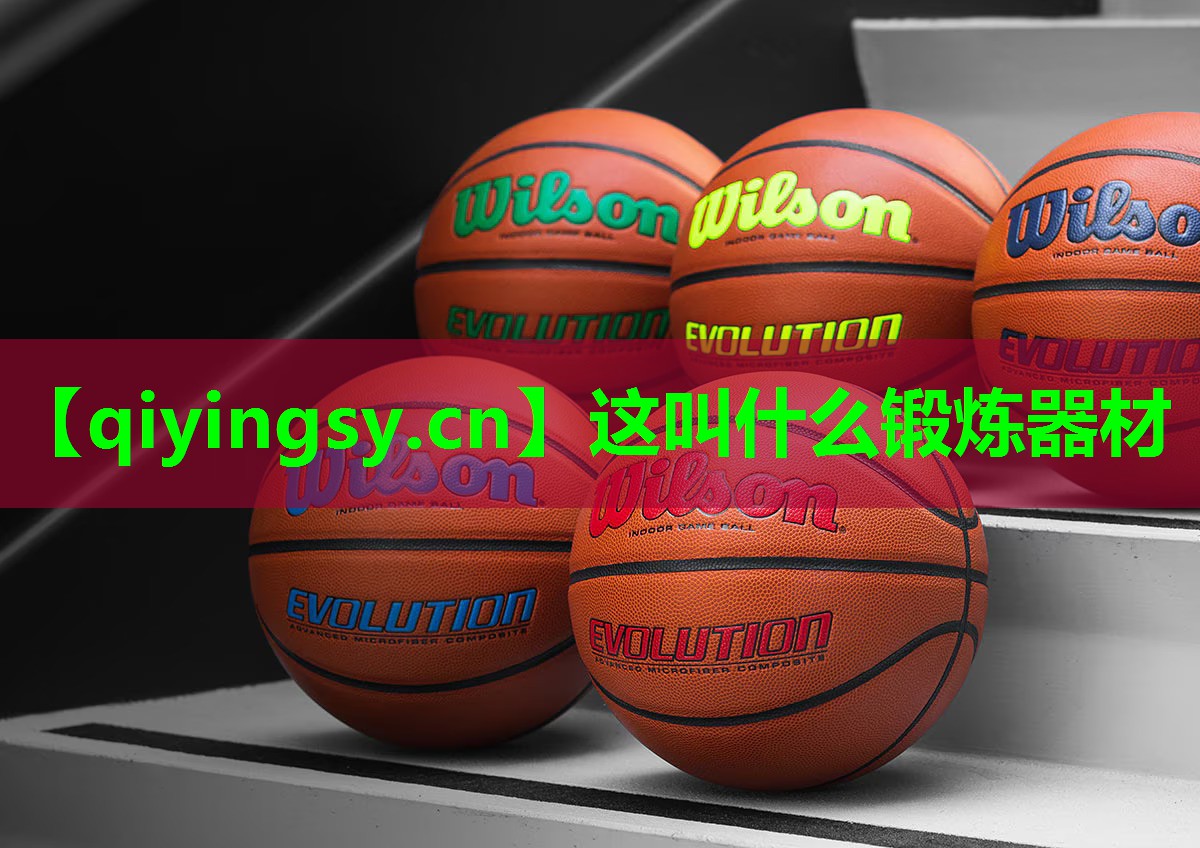 这叫什么锻炼器材