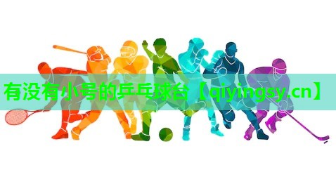 有没有小号的乒乓球台