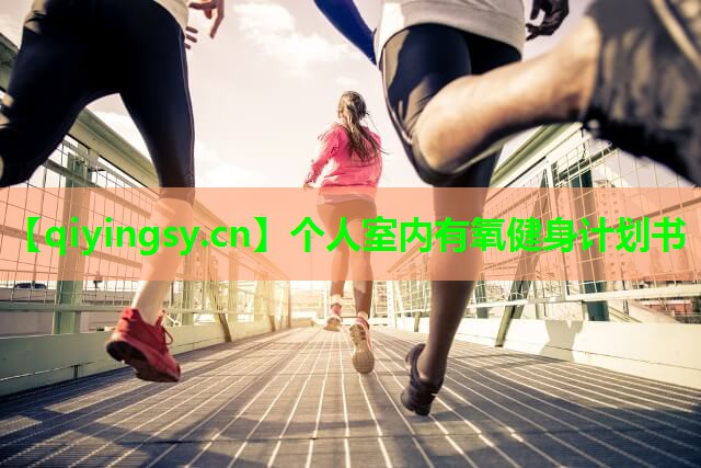 个人室内有氧健身计划书