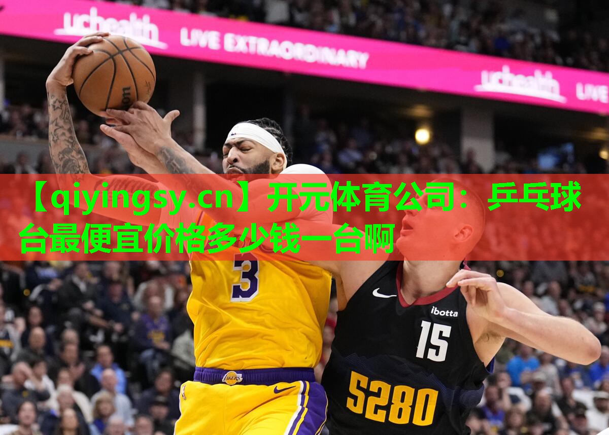 开元体育公司：乒乓球台最便宜价格多少钱一台啊