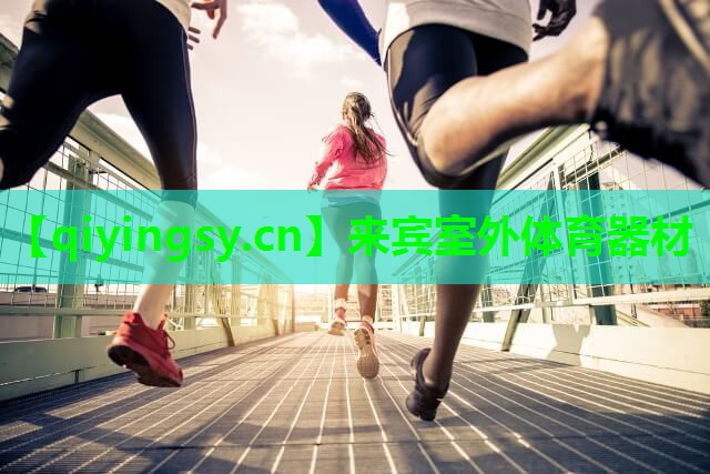 来宾室外体育器材