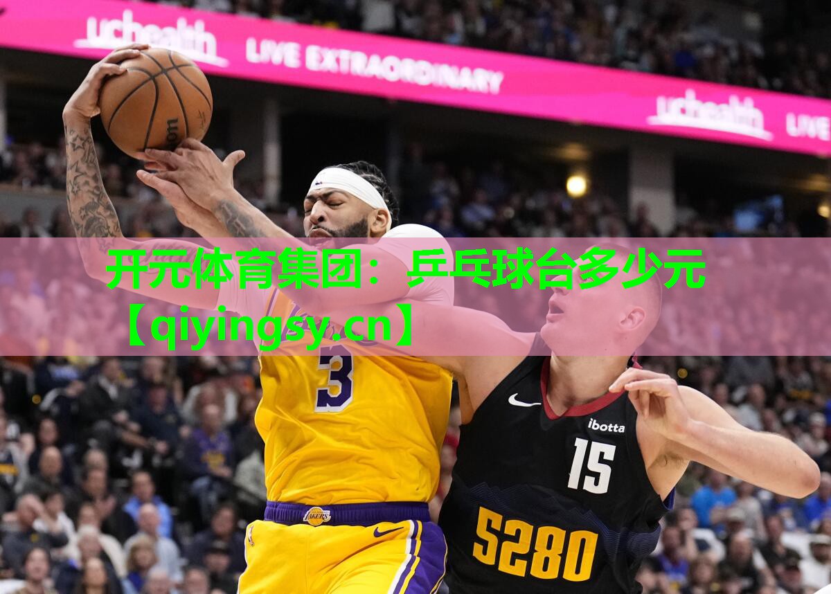开元体育集团：乒乓球台多少元
