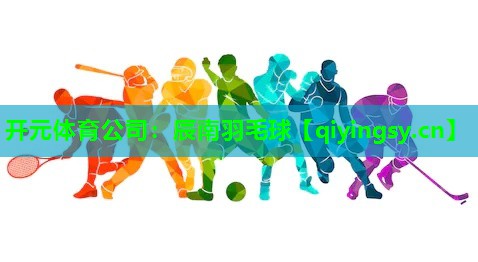 开元体育公司：辰南羽毛球