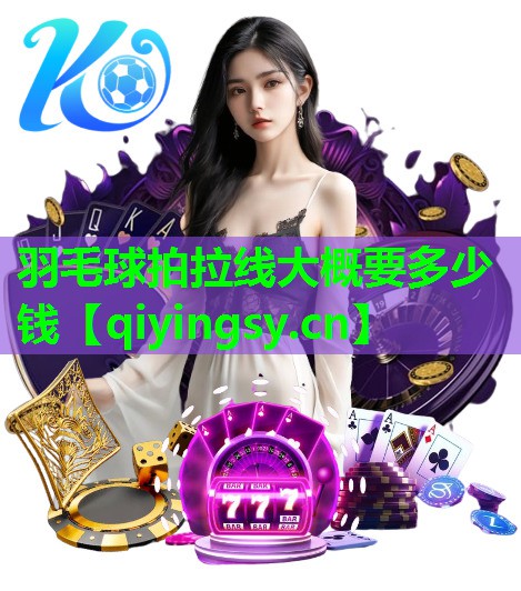 羽毛球拍拉线大概要多少钱