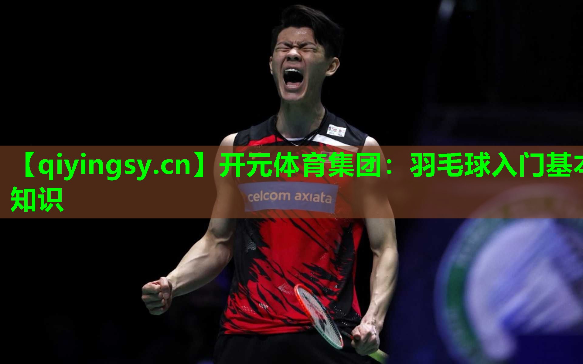 开元体育集团：羽毛球入门基本知识