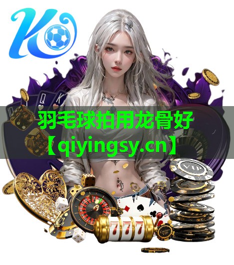 羽毛球拍用龙骨好