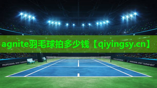 agnite羽毛球拍多少钱