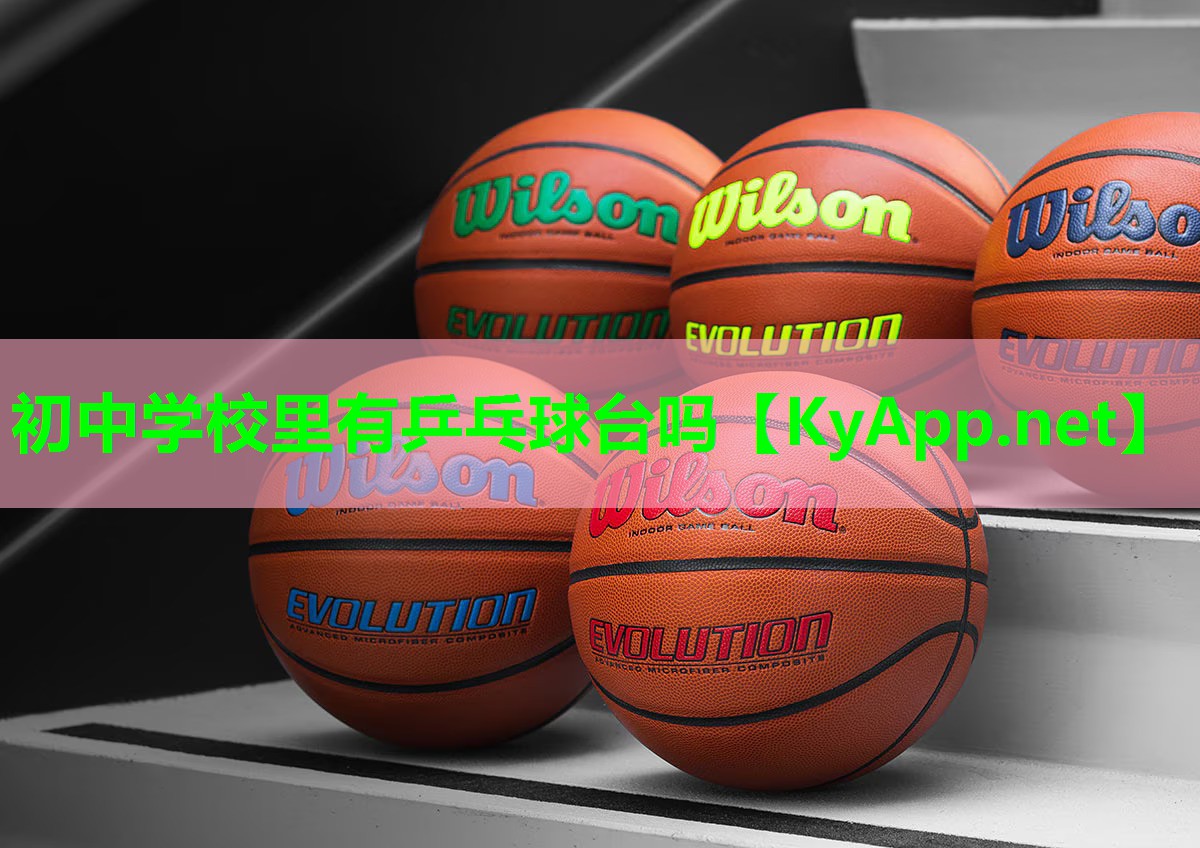 初中学校里有乒乓球台吗