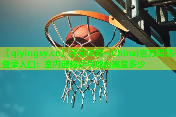 室内迷你乒乓球台高度多少