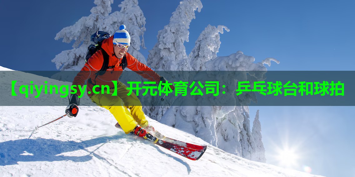乒乓球台和球拍