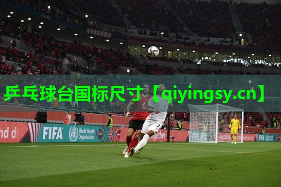 乒乓球台国标尺寸