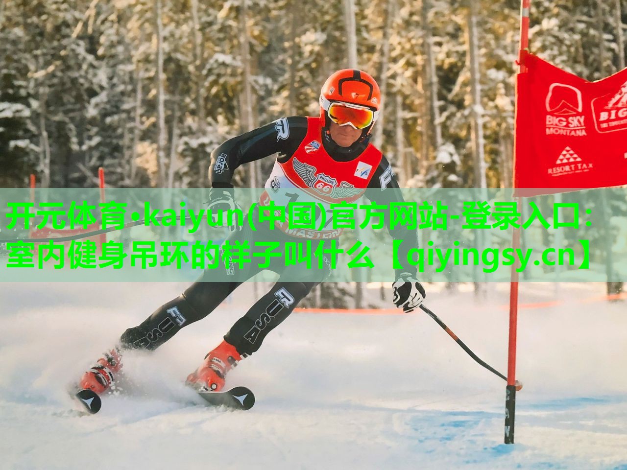 室内健身吊环的样子叫什么