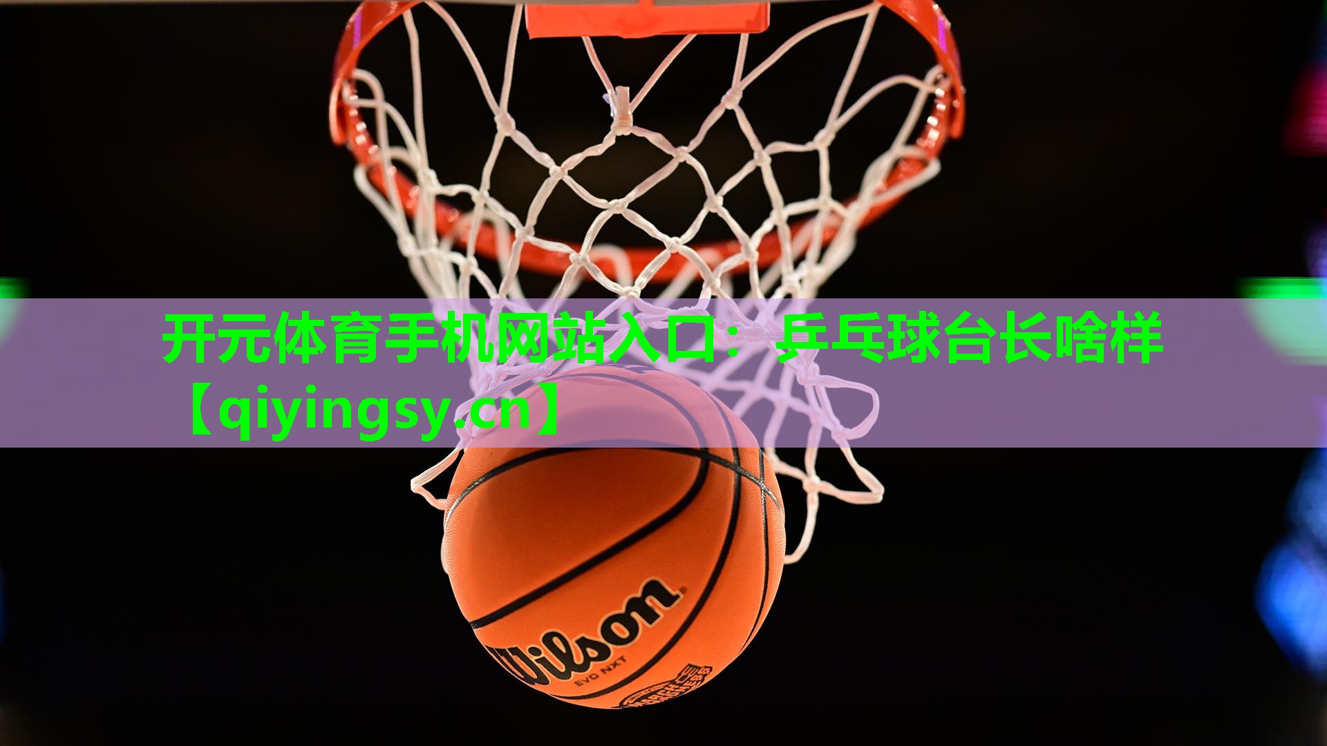 乒乓球台长啥样