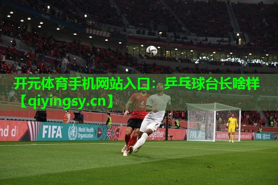 乒乓球台长啥样