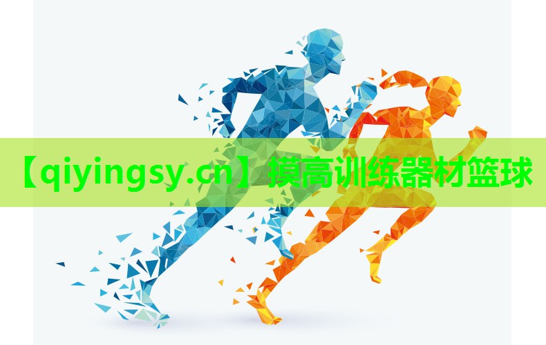 摸高训练器材篮球