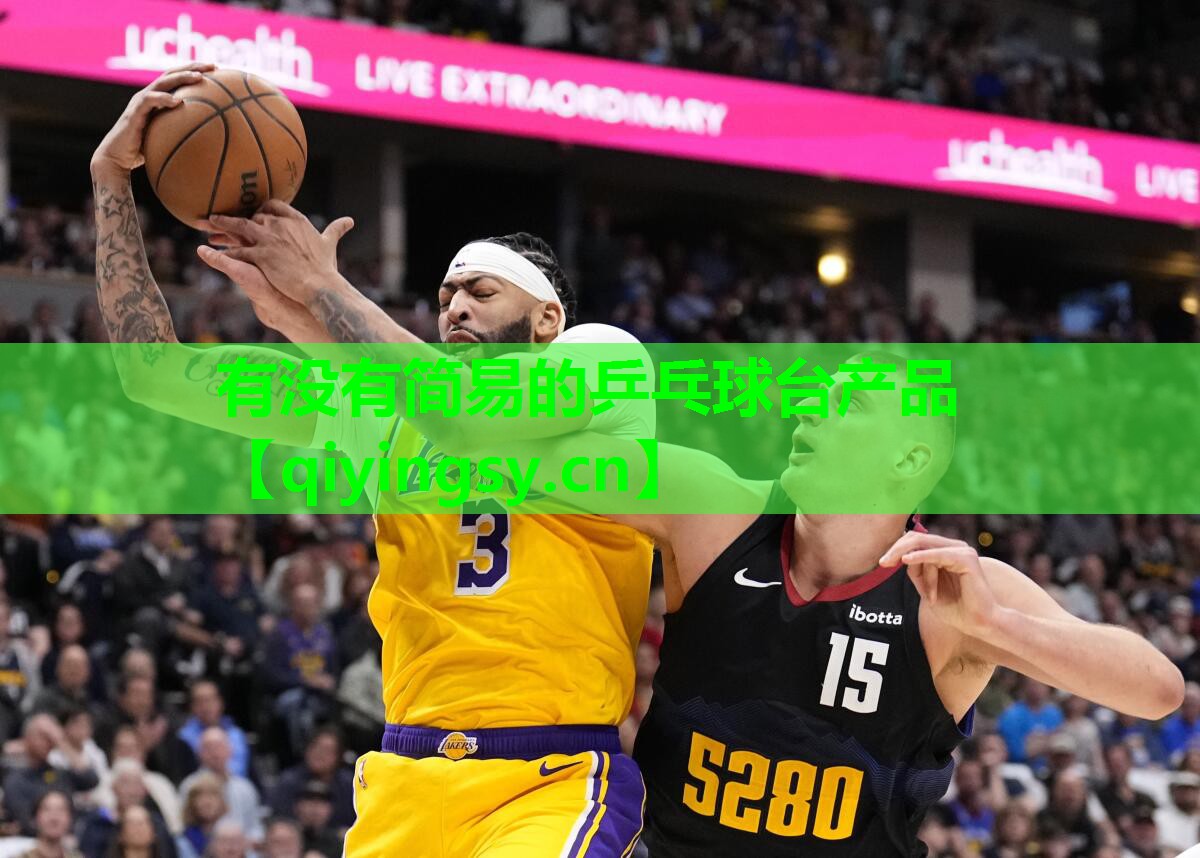 有没有简易的乒乓球台产品