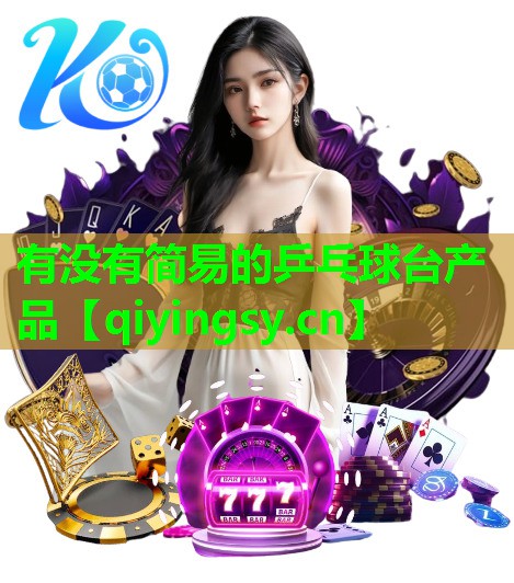 有没有简易的乒乓球台产品