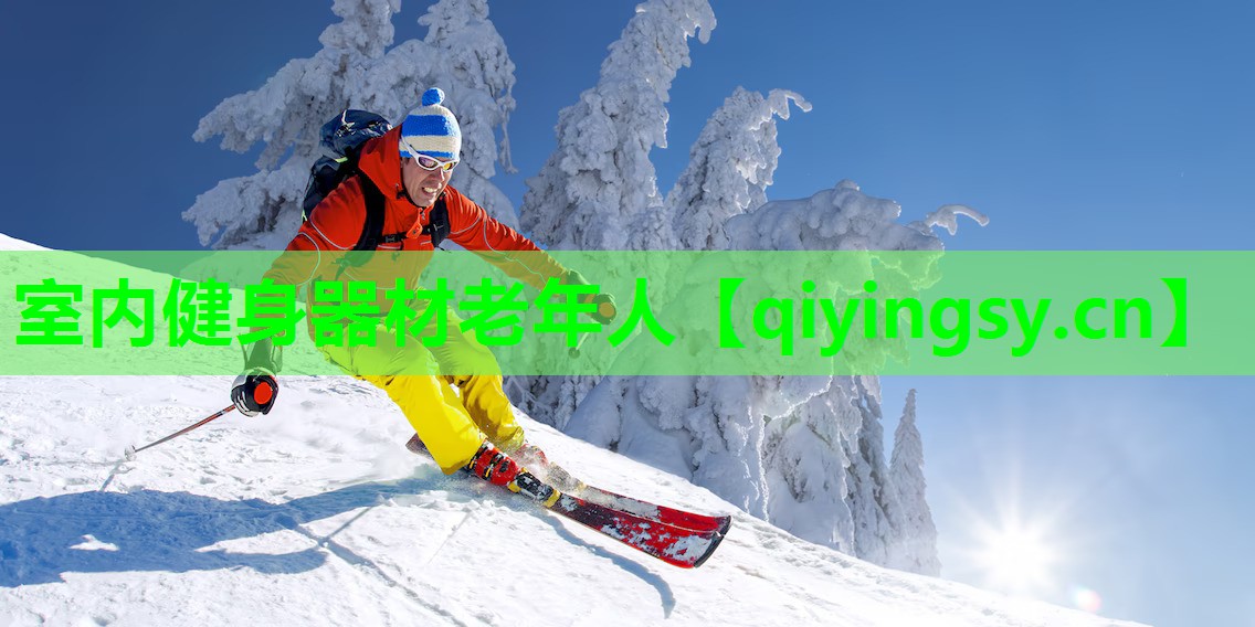 室内健身器材老年人