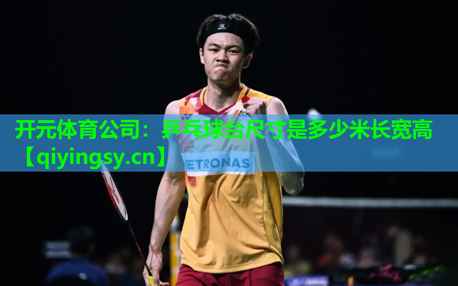 乒乓球台尺寸是多少米长宽高