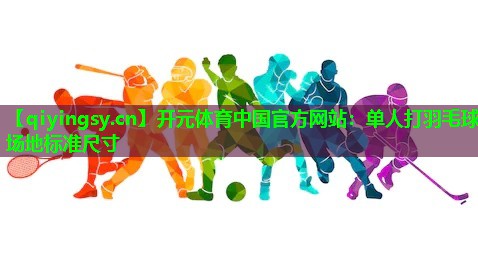 单人打羽毛球场地标准尺寸