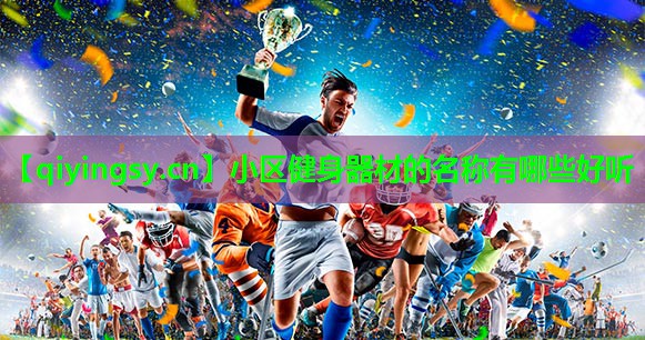 小区健身器材的名称有哪些好听