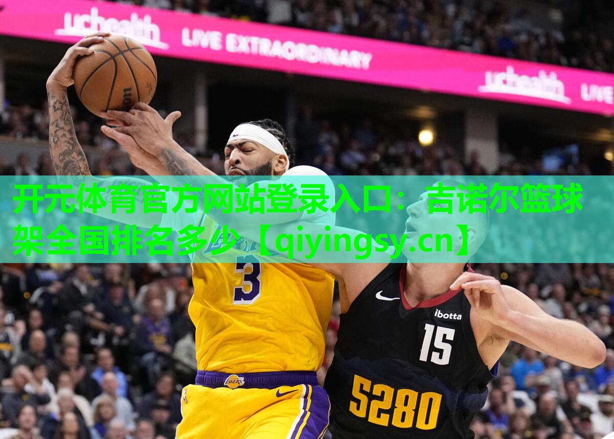 吉诺尔篮球架全国排名多少