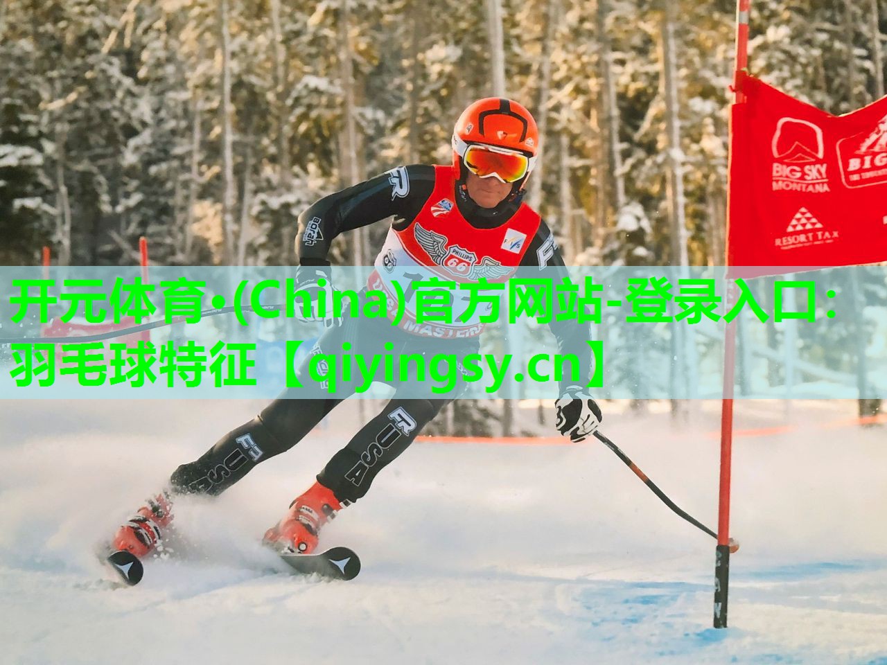 羽毛球特征