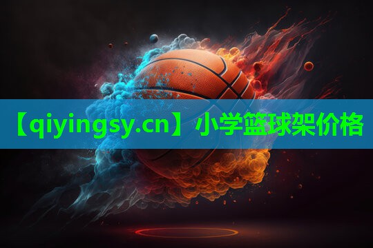 小学篮球架价格