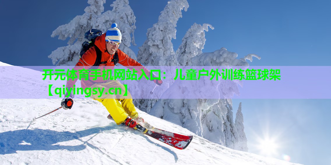 儿童户外训练篮球架