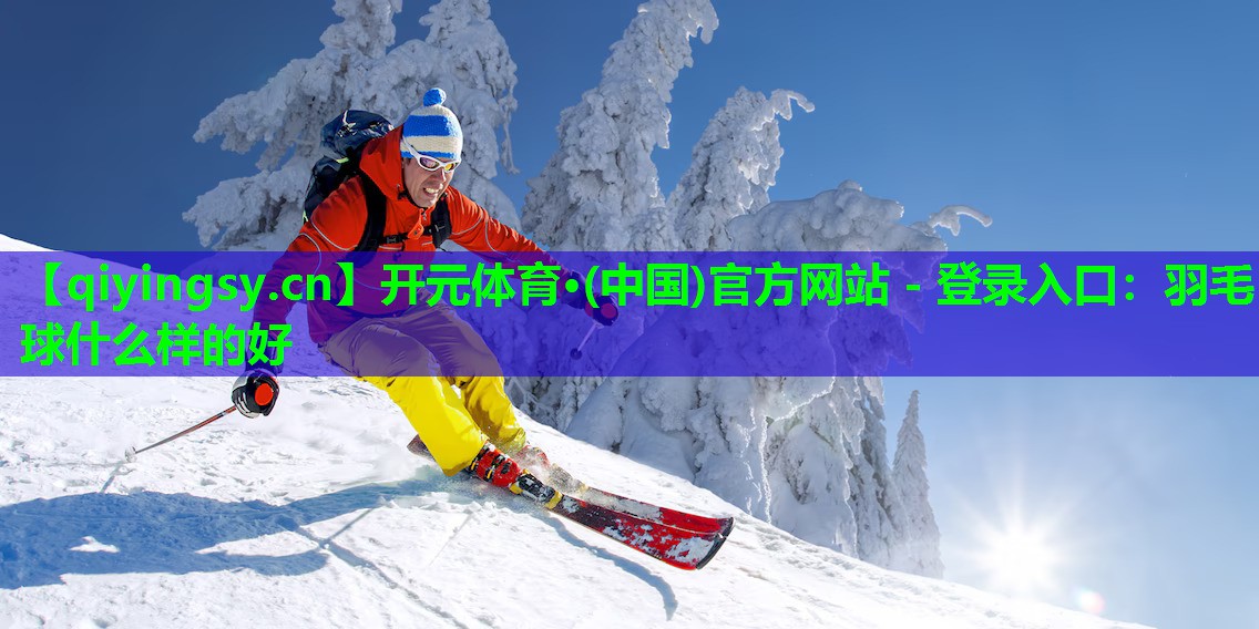 羽毛球什么样的好