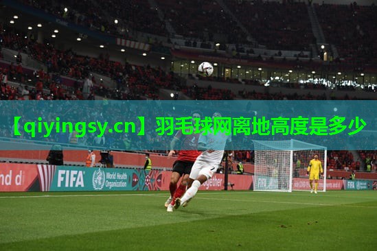 羽毛球网离地高度是多少