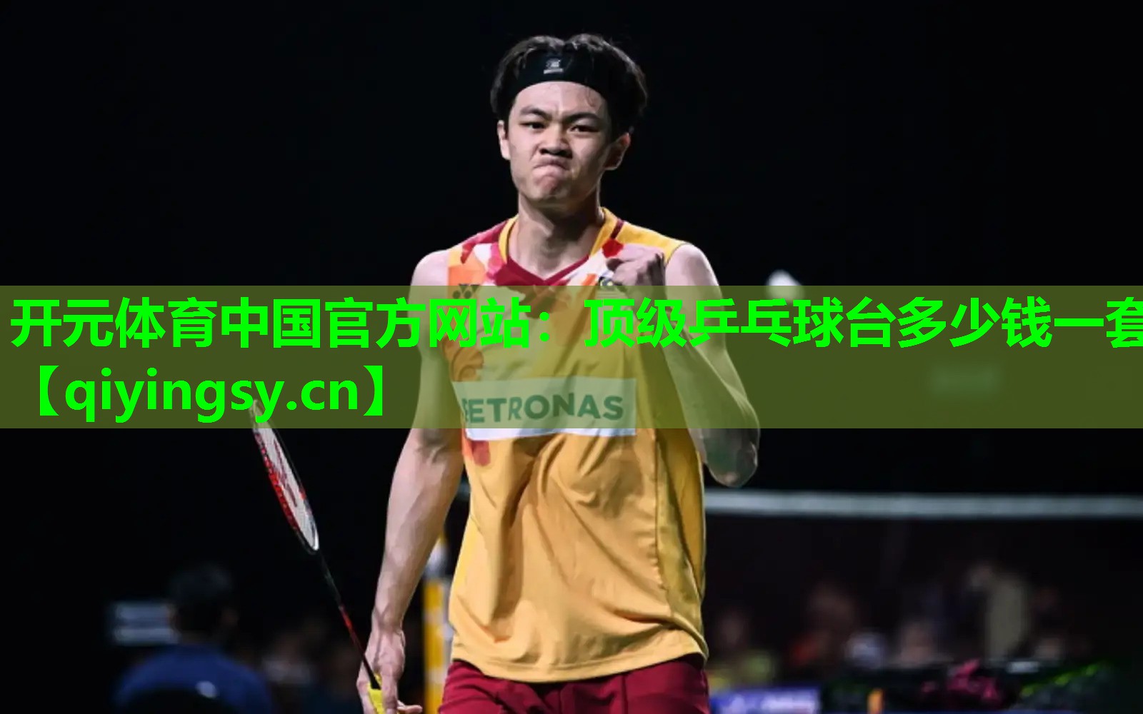 顶级乒乓球台多少钱一套