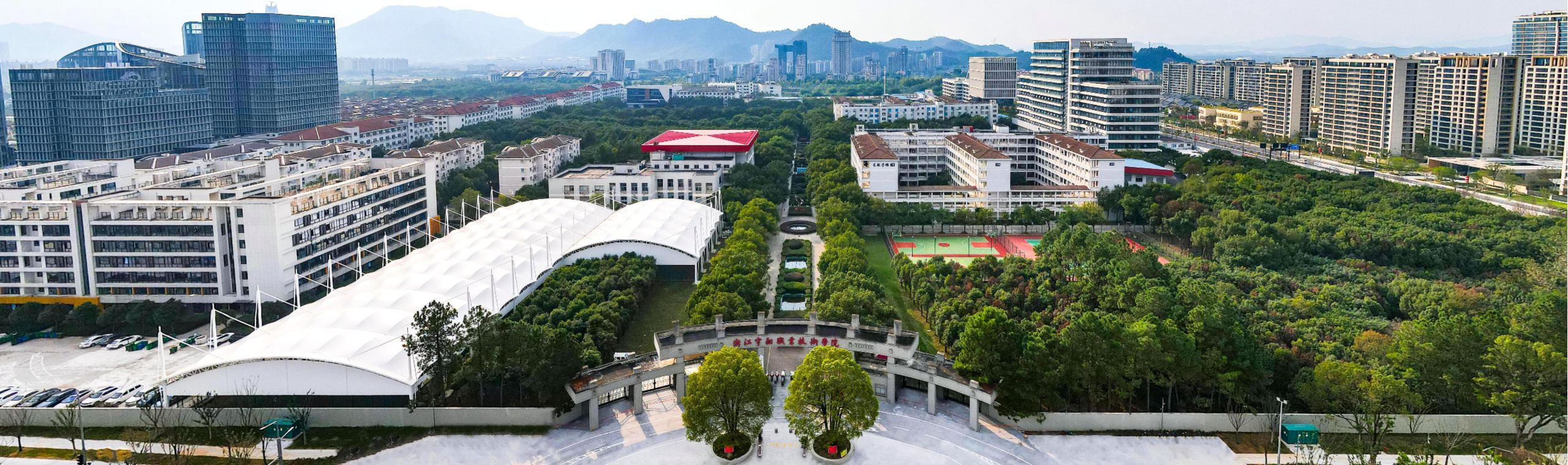 职业发展全景