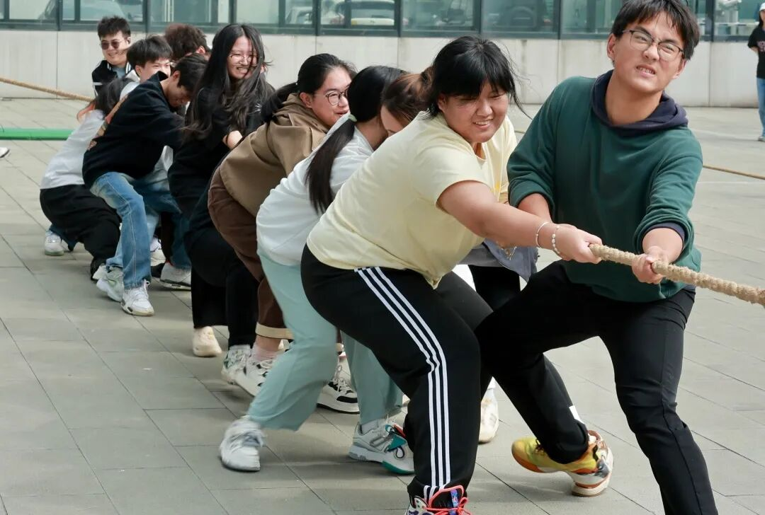 图片37.png